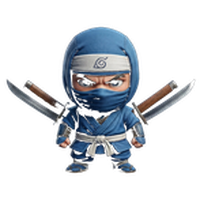 Social Ninja's